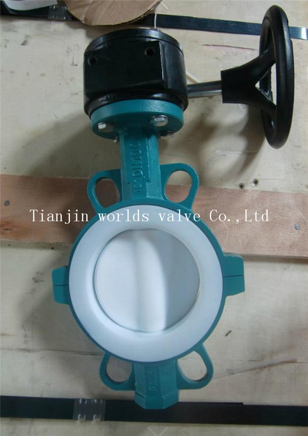 Full PTFE Lined Two PCS Body Wafer Type Butterfly Valve with Ce ISO Wras