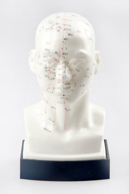 Head Acupuncture Model (Headam20)