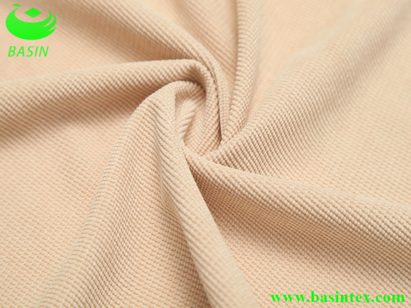 Nylon Polyester Sofa Fabric (BS2207)