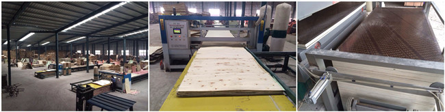 Building Material Waterproof Construction Plywood