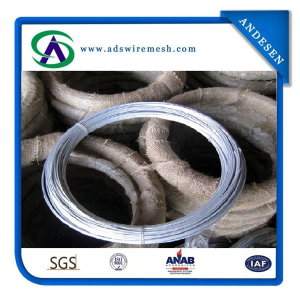 Electro / Hot Dipped Galvanzied Low Carbon Steel Wire