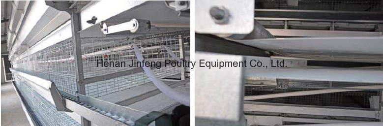 Manure Removal System for Layer Broiler Pullet Chicken Farm Use