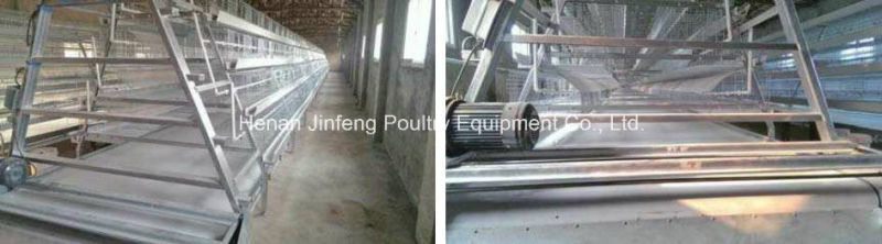 a Type Automatic Poultry Chicken Equipment for Chicken Birds Broiler Pullet