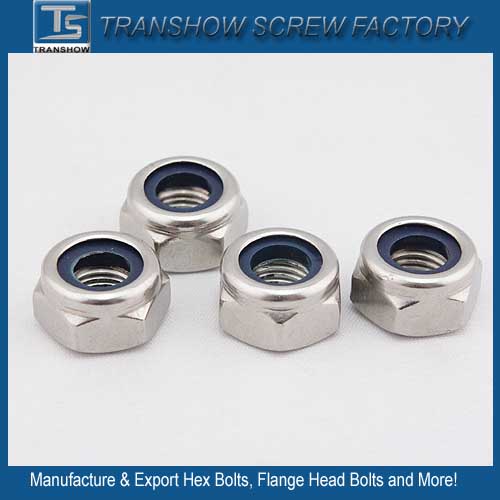 DIN985 M14 Ss304 Nylon Lock Nut