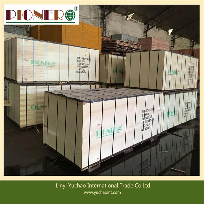 Two Molding High Quality Film Faced Plywood for European Market