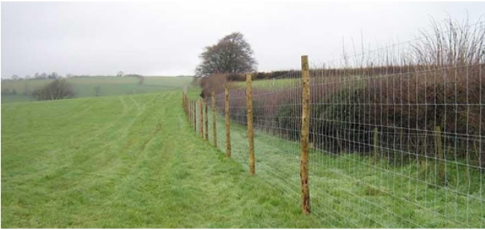 Galvanized Filded Fence/Farm Fence/Wire Mesh Fence