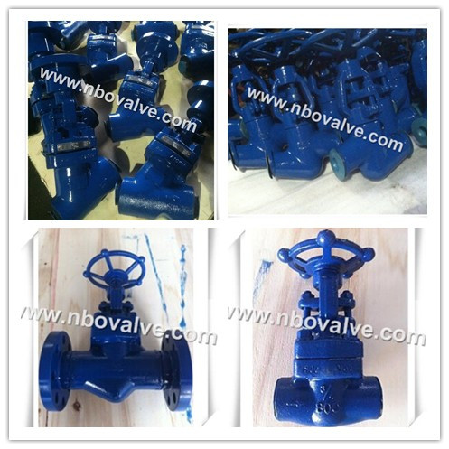32MPa Small Size Power Plant Forged Globe Valve (10mm-80mm)