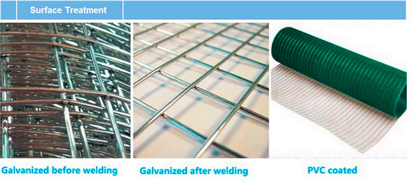 Direct Factory of Galvanized / PVC Coated Welded Wire Mesh with Lower Price