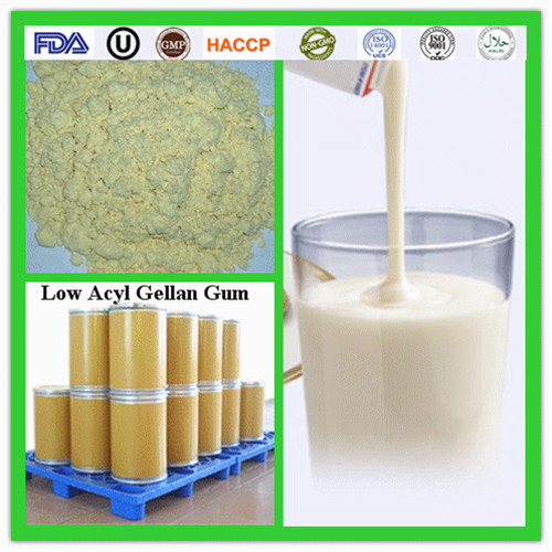 Promotional Bp Low Acyl /High Acyl Gellan Gum