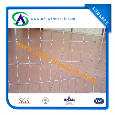 ISO9001: 2008, Sgsgalvanized Field Fence, Cattle Fence, Farm Fence