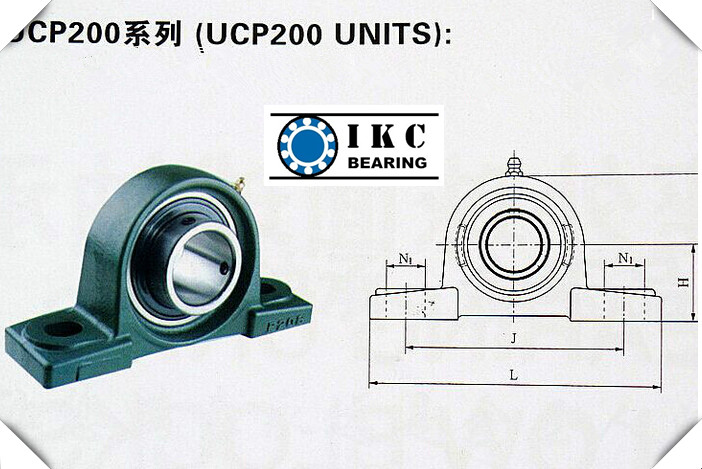 Ikc NTN Ucp206 D1 Pillow Block Bearing Ucp204, Ucp205, Ucp207, Ucp208, Ucp210 NSK Fyh Asahi