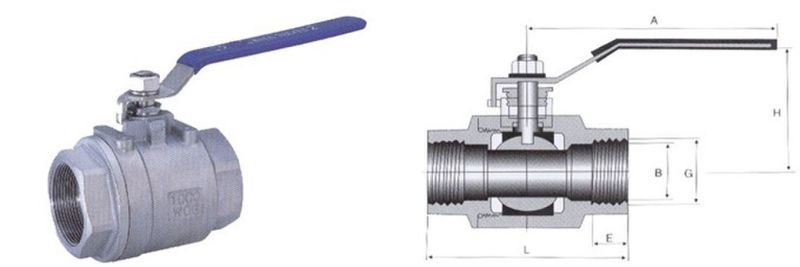 Screw Female Thread End 2PC Type Ss304 Ball Valve