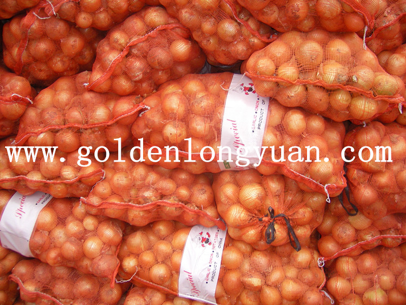 2016 Hot Sale High Quality Fresh Yellow Onion