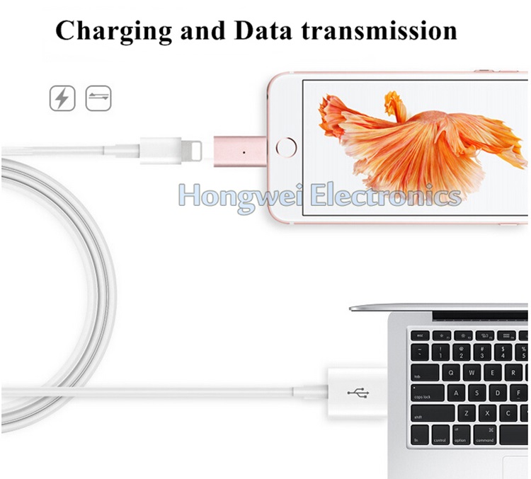 8 Pin Aluminum Alloy Magnetic USB Charging Adapter for iPhone ISO