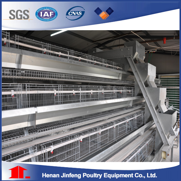 High Quality Automatic Poultry Equipment Chicken Cage for Layers (9LDT-5-1L0-25)