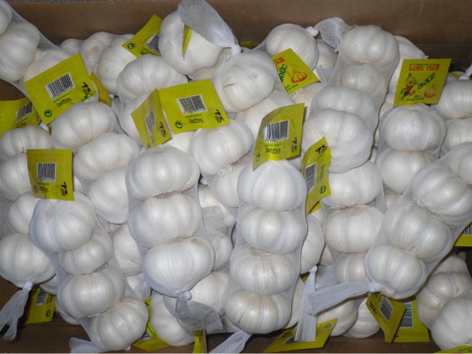 High Quality Chinese Pure White Garlic (5.0cm and up)