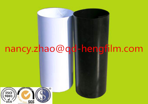 HIPS Rigid Film Can Used for Vacuum and Thermorming Packing