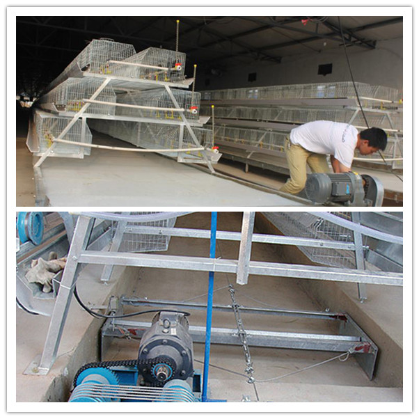 Hot Galvanized Automatic Chicken Cage for Growing Broilers and Layers (A3L90)