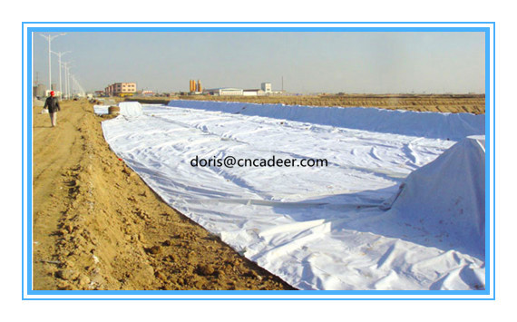 Geotextile for Agriculture