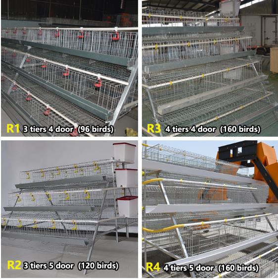 a Frame Layer Battery Cage System with Manure Belt