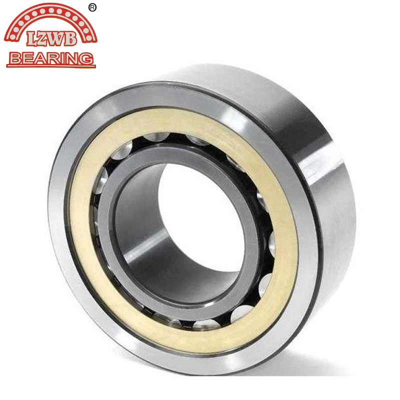 Auto Spare Part of Cylindrical Roller Bearing (NJ 2211 EM)