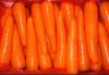 Fresh Red Carrot