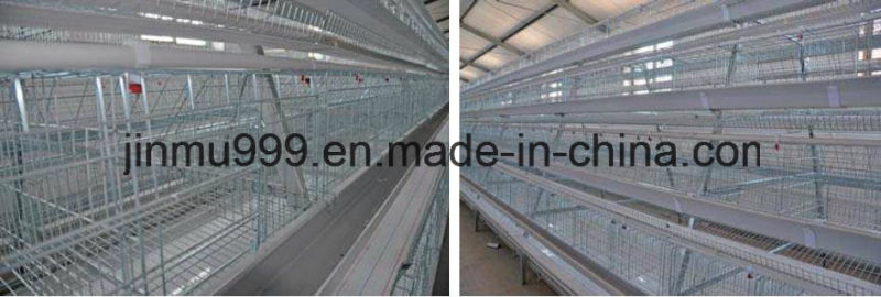 Automatic Layer Farm Equipment Chicken Cage on Sell