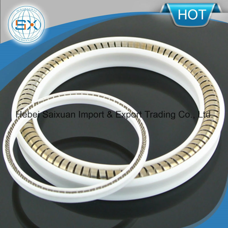 PTFE and Elastomeric Spring Energized Seals