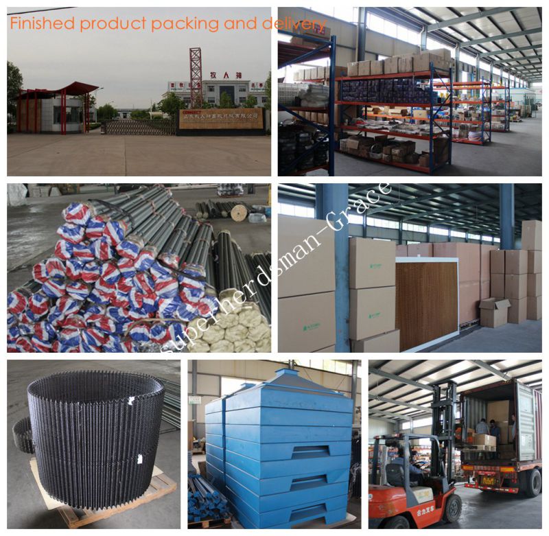 Automaitc Poultry Breeding Equipment for Broiler Production