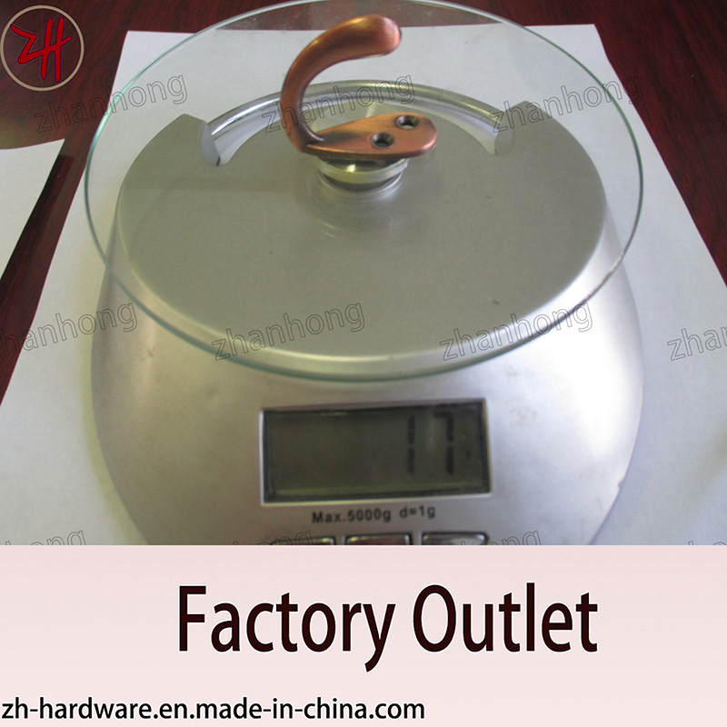 Factory Direct Sale All Kind of Hanger and Hook (ZH-2027)