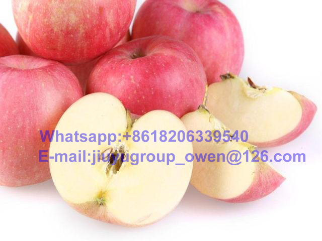 New Crop FUJI Apple