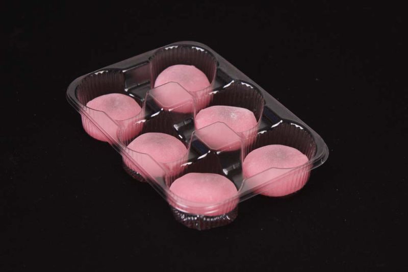 Transparent Plastic Packaging Box for Food Storage