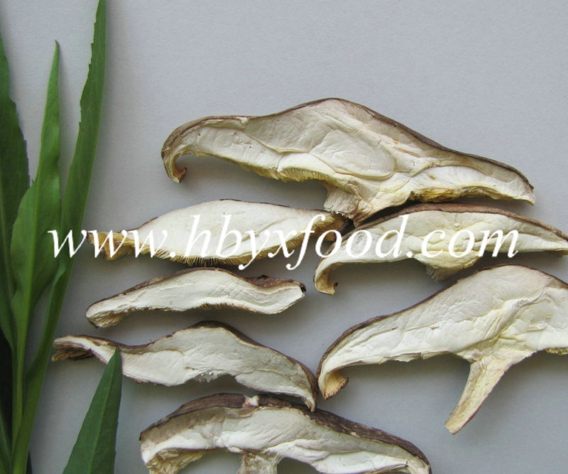 Dried Matsutake Mushroom Slice for Sale