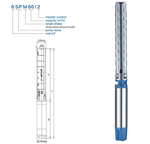 6 Inches Ss Electric Submersible Deep Well Pump (6SP60-2)