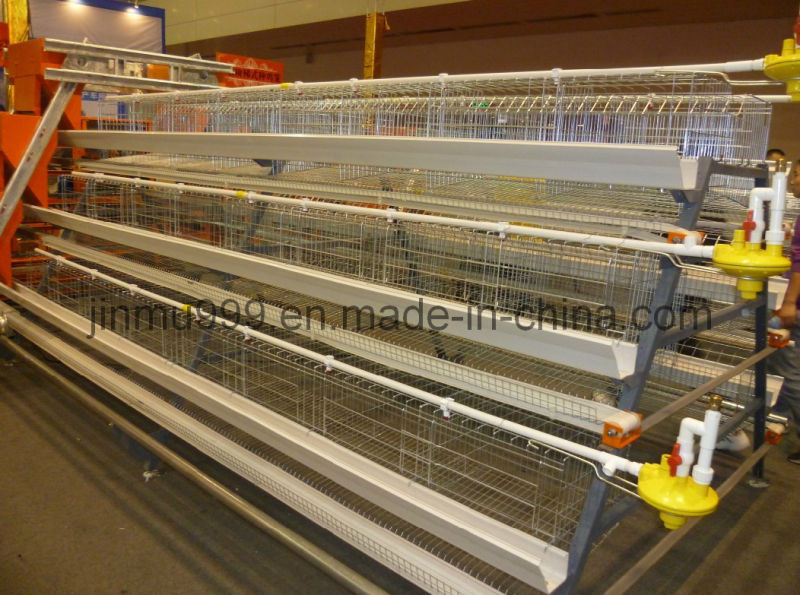 Layer Chicken Poultry Equipment Cage From China