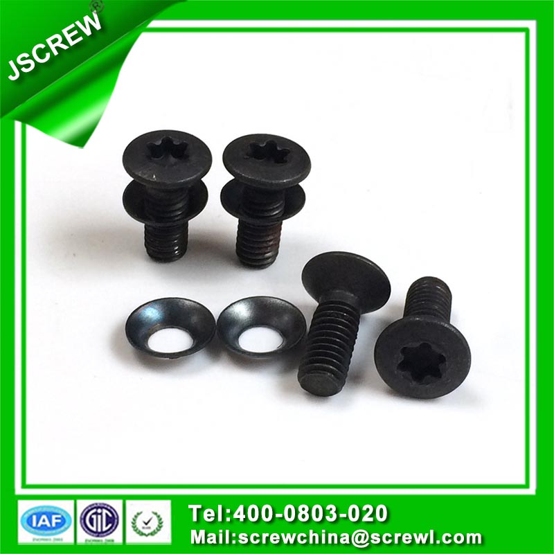 Torx Flat Head Black Anti-Theft Screw