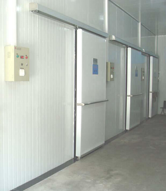 Frozen Refrigerator Door for Cold Storage Room