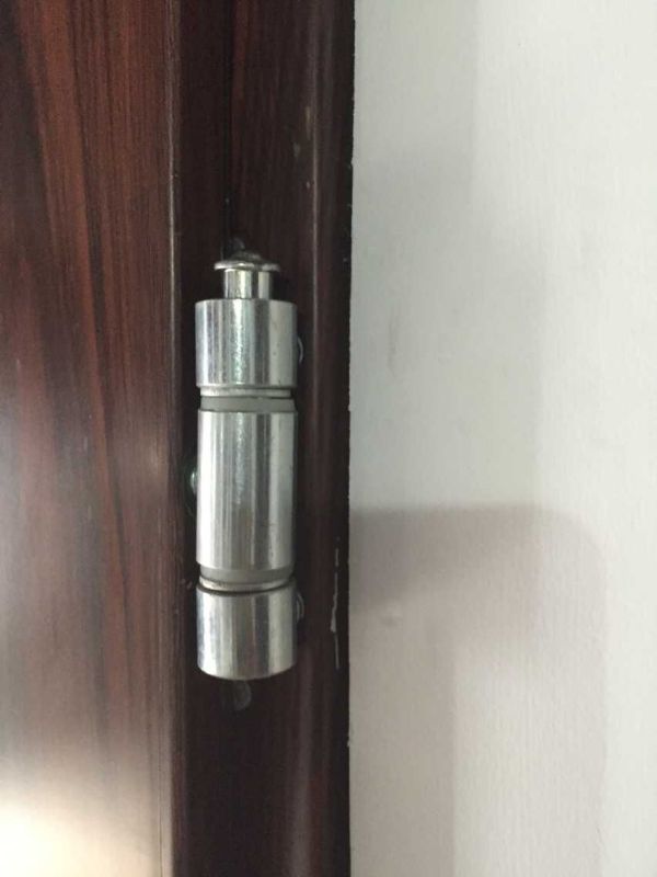 High Quality Israel Single Door