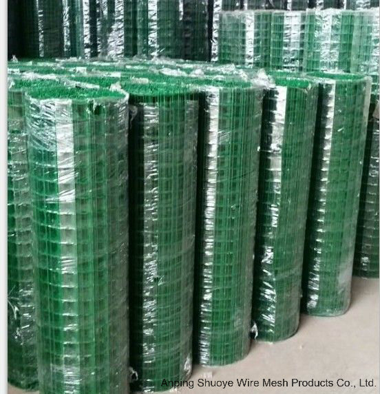 Galvaized/PVC Coated Welded Wire Mesh with ISO9001 ISO14001 and TUV Certification (Factory)