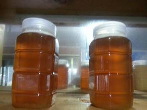Honey Processing Machine Honey Extraction Machine