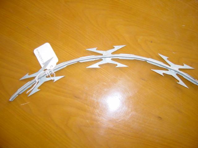 PVC Coated Galvanized Concertina Barbed Wire (XA-RW004)