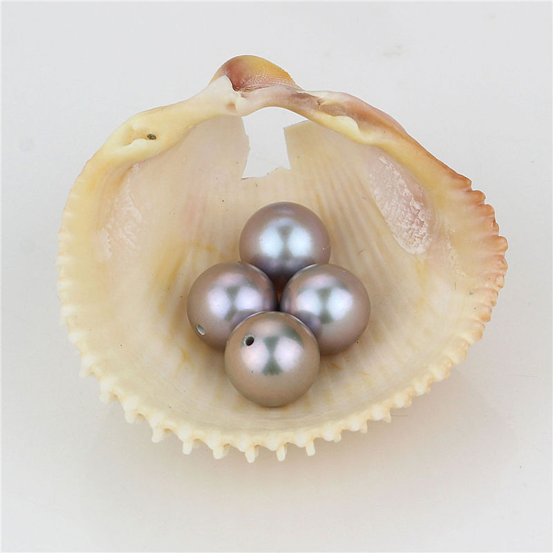 Snh Grey Color Natural Dye Color Loose Pearls