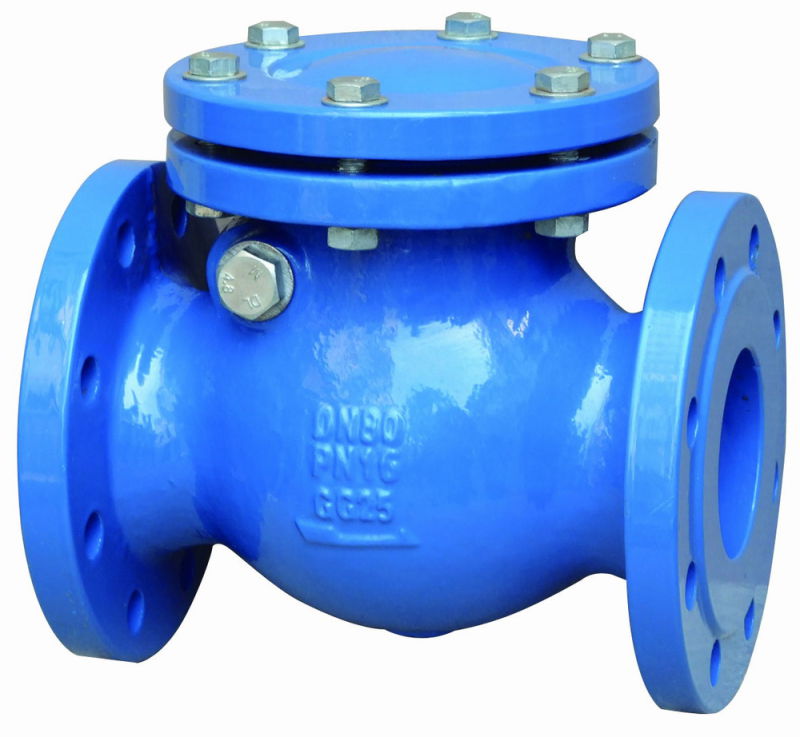 Dn40-Dn1000 Silent Type Check Valve