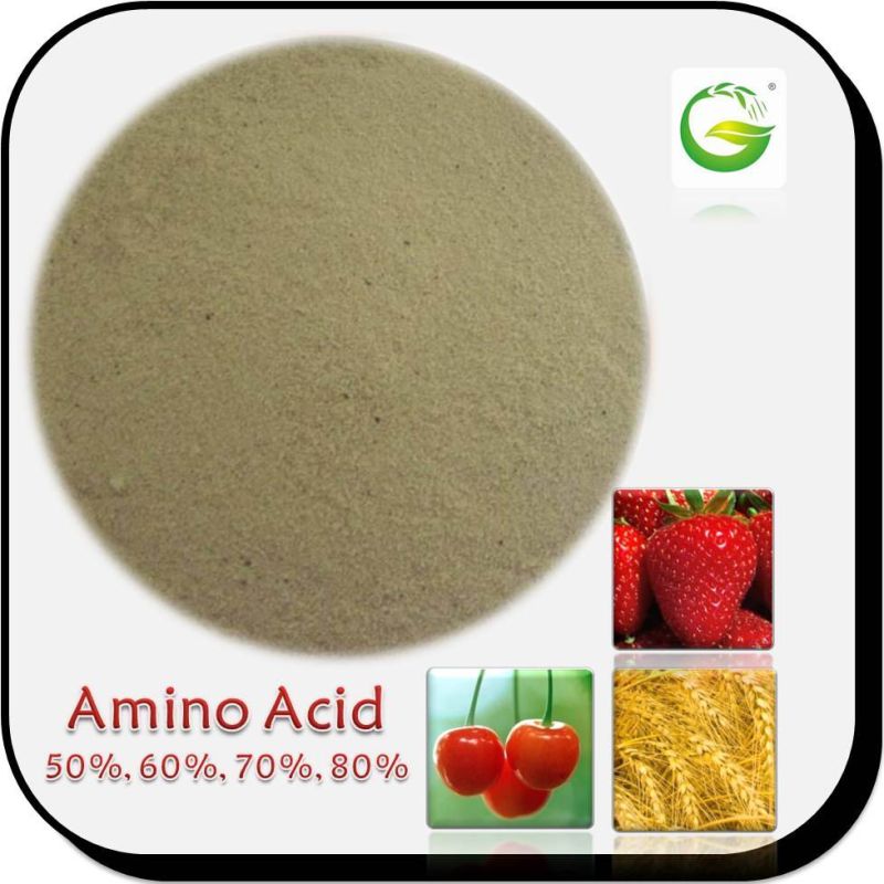 Plant and Vegetable Source Free Amino Acid Powder 40-80%