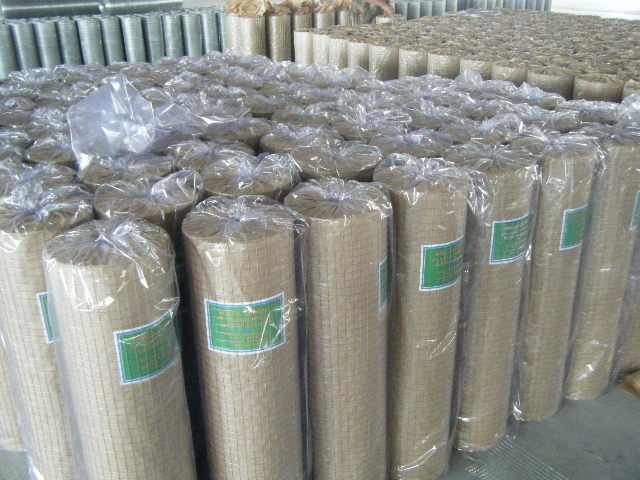 Galvanized Welded Wire Mesh