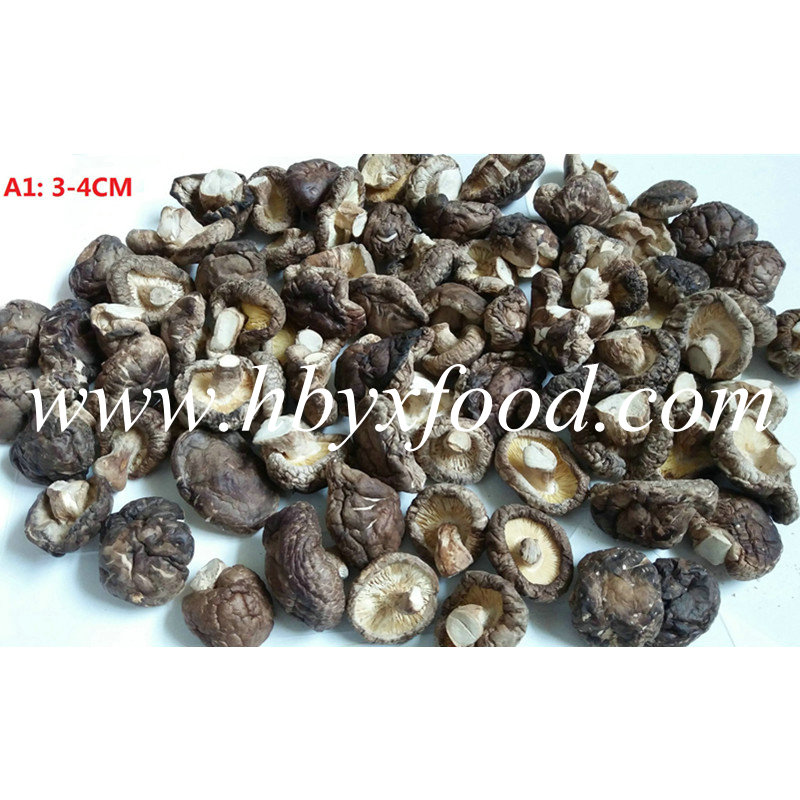 2016 Crop 3-4cm Dried Smooth Shiitake Mushroom