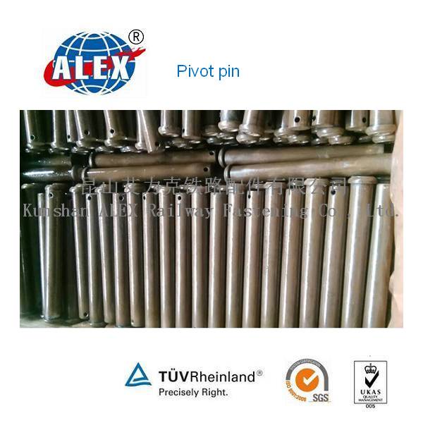 AISI C1060 Plain Oiled Pivot Pin