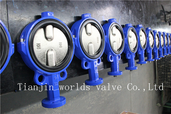 Split Body Wafer Type Butterfly Valve with Replaceable Liner