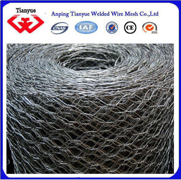 Galvanzied Hexagonal Wire Mesh/Chicken Mesh