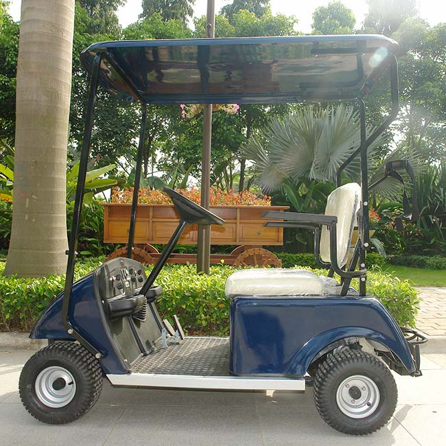 China Factory Battery Power Single Seater Electric Golf Buggy (DG-C1)